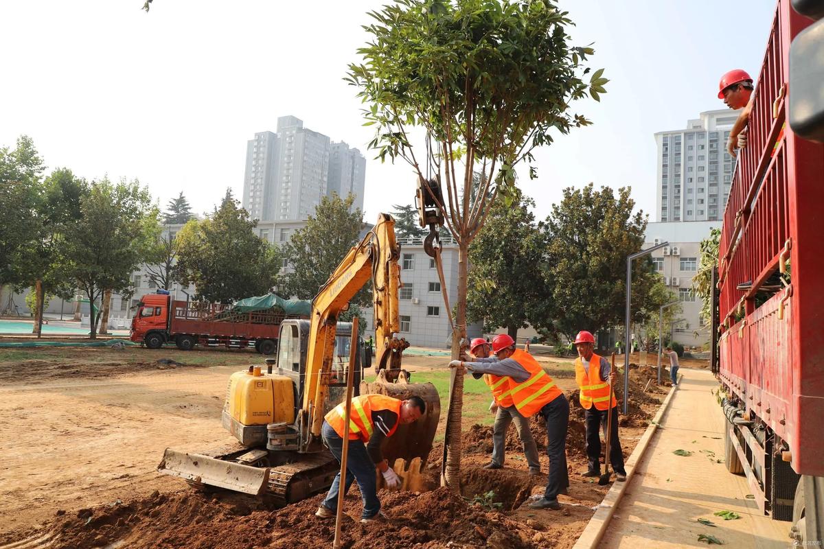 周口苗木綠化工程 專業綠化施工助力綠色園林建設