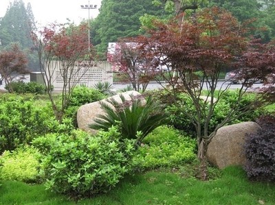 上海園林綠化工程與苗木批發(fā)價(jià)格全解析