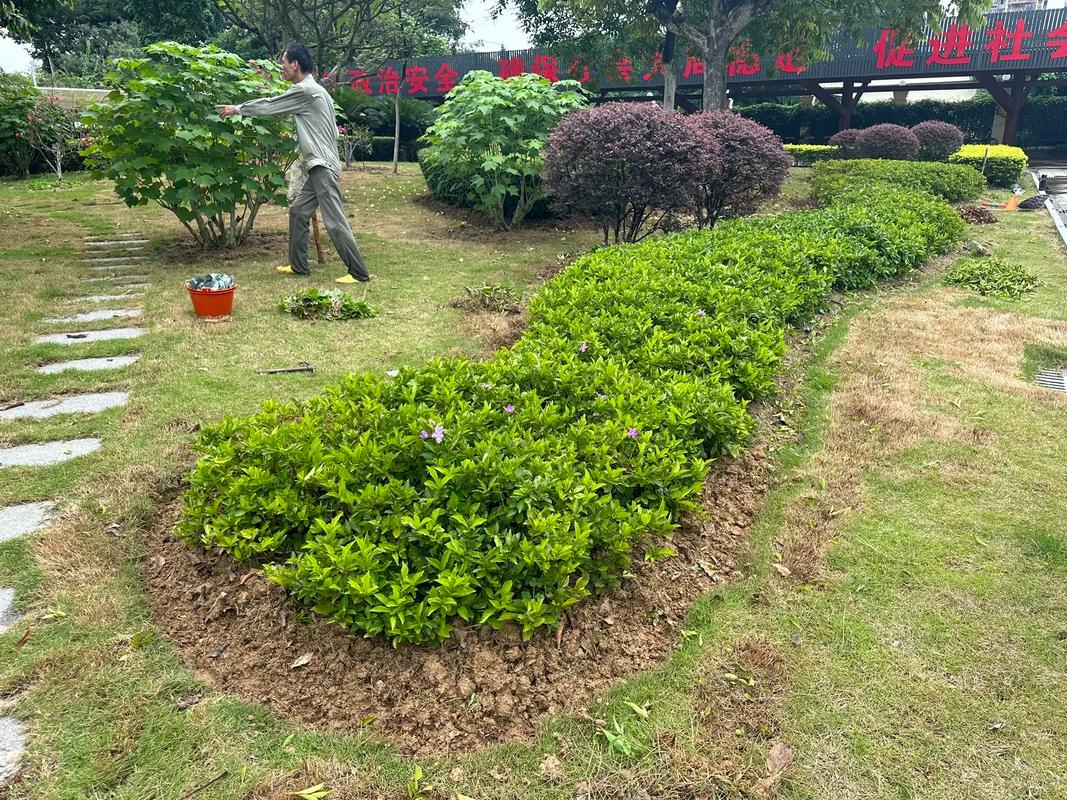 深耕園林養(yǎng)護(hù)與苗木產(chǎn)業(yè)，共筑城市綠色生態(tài)未來